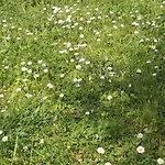 Casa Colonica Di Campagna Era Volta Сasa de vacaciones *
