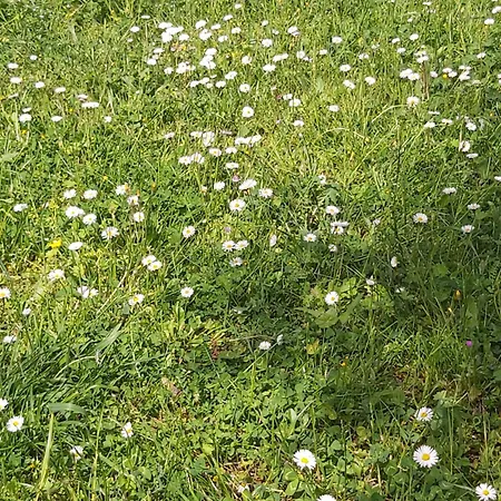 Casa Colonica Di Campagna Era Volta Tatil Evi *