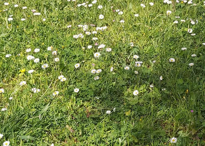 Casa Colonica Di Campagna Era Volta Prázdninový dům *